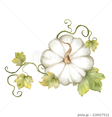 Delicate hand-drawn illustration of a white pumpkin with green leaves. Ideal for autumn decor, invitations, or seasonal designs. Delicate hand-drawn illustration of a white pumpkin with green leaves. Ideal for autumn decor, invitations, or seasonal designs. 128427522
