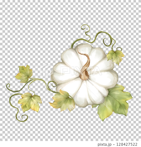Delicate hand-drawn illustration of a white pumpkin with green leaves. Ideal for autumn decor, invitations, or seasonal designs. Delicate hand-drawn illustration of a white pumpkin with green leaves. Ideal for autumn decor, invitations, or seasonal designs. 128427522