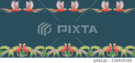 Tropical birds with long tails palm leaves watercolor seamless border on dark background. Hand-painted perfect for stationery, fabric prints, summer projects. Golden pheasant. Horizontal. Flying Tropical birds with long tails palm leaves watercolor seamless border on dark background. Hand-painted perfect for stationery, fabric prints, summer projects. Golden pheasant. Horizontal. Flying 128428188