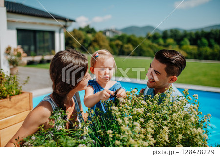 Young family taking care of plants in garden, spraying them with water. 128428229