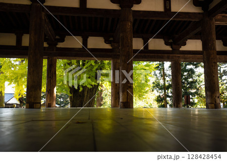 会津新宮熊野神社の大銀杏,神社の本殿、福島県の銀杏のある神社の板の間 会津新宮熊野神社の大銀杏,神社の本殿、福島県の銀杏のある神社の板の間 128428454