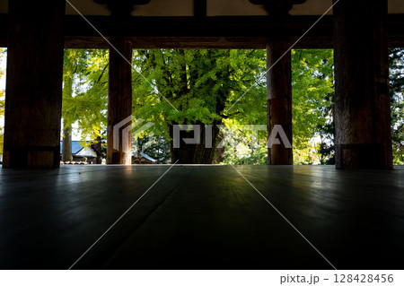 会津新宮熊野神社の大銀杏,神社の本殿、福島県の銀杏のある神社の板の間 128428456