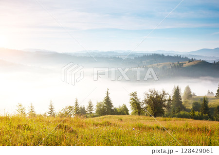 Great view of the alpine valley. Location place Carpathian, Ukraine, Europe. Great view of the alpine valley. Location place Carpathian, Ukraine, Europe. 128429061