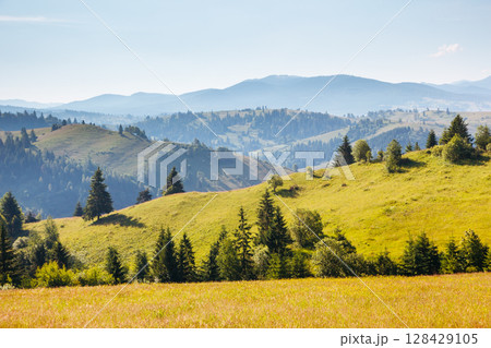 Great view of the alpine valley. Location place Carpathian, Ukraine, Europe. Great view of the alpine valley. Location place Carpathian, Ukraine, Europe. 128429105