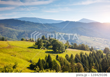 Great view of the alpine valley. Location place Carpathian, Ukraine, Europe. 128429106