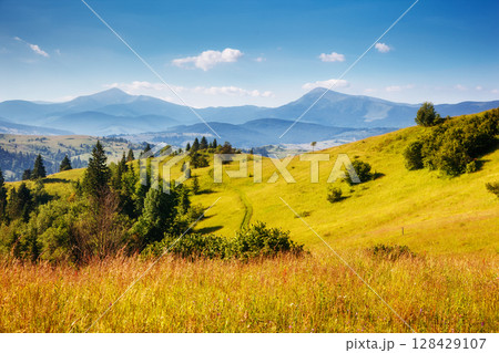 Great view of the alpine valley. Location place Carpathian, Ukraine, Europe. Great view of the alpine valley. Location place Carpathian, Ukraine, Europe. 128429107