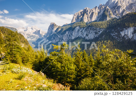 Alpine lake Vorderer Gosausee. Salzkammergut is a famous resort area located in the Gosau Valley in Upper Austria. Dachstein glacier. 128429125