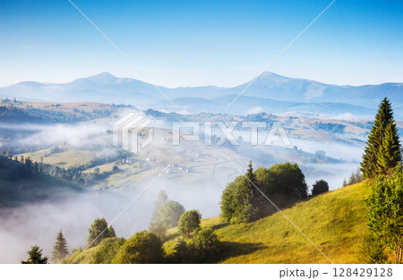 Great view of the alpine valley. Location place Carpathian, Ukraine, Europe. Great view of the alpine valley. Location place Carpathian, Ukraine, Europe. 128429128