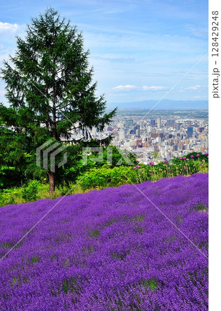 幌見峠の風景（北海道札幌市中央区） 128429248