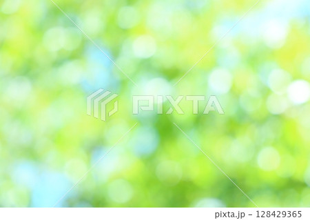 山桜の若葉のぼかし 【アウトフォーカス】 128429365