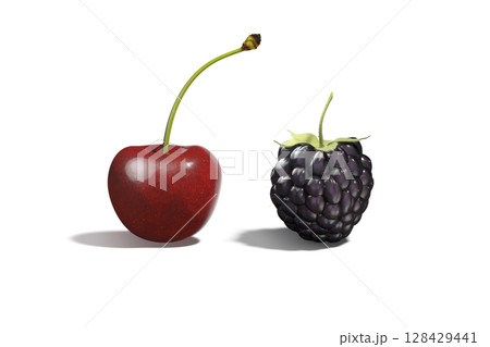 Cherry and blackberry mockup set, front view, isolated 128429441