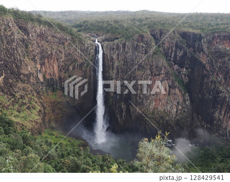 裂ける崖、立ち上る水煙 ― Wallaman Fallsの垂直風景 128429541