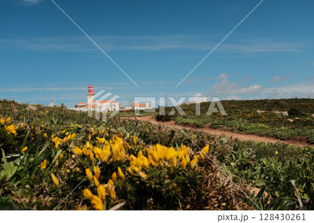 Lush green hills and rugged terrain with blue sky and scattered clouds in Cabo da Roca Sintra Portugal natural landscape with vegetation from scenic hiking trail Lush green hills and rugged terrain with blue sky and scattered clouds in Cabo da Roca Sintra Portugal natural landscape with vegetation from scenic hiking trail 128430261