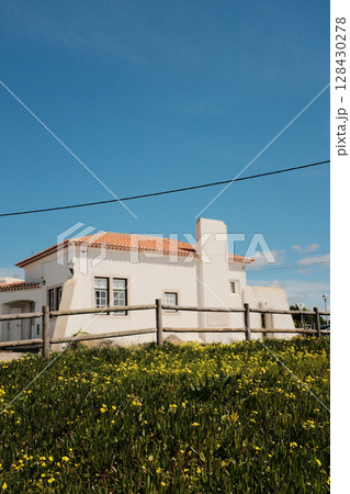 Traditional portuguese white house with red tiled roof in spring yellow wildflower field under bright blue sky in countryside near cabo da roca sintra portugal rural travel architecture. High quality 128430278