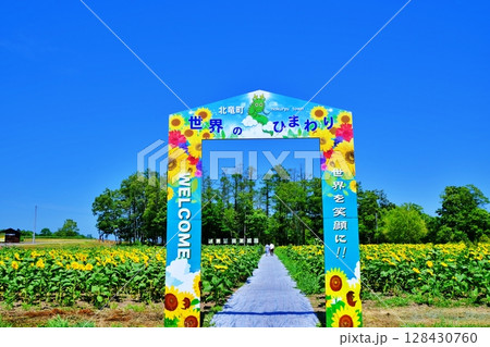 夏の北海道　北竜町ひまわりの里の風景 128430760