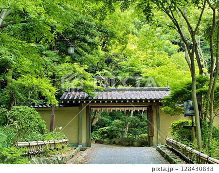 大磯城山公園南門 128430838