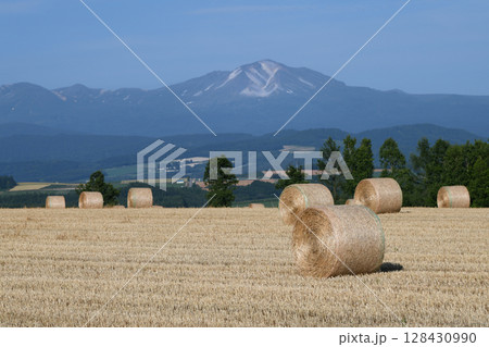 ロールが広がる麦畑 128430990