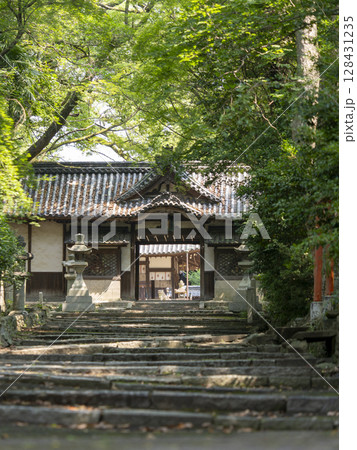新緑の木々に囲まれた神社の参道 128431235