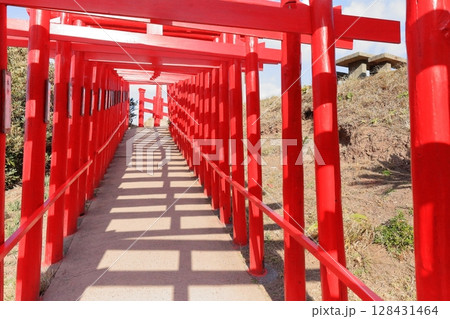 元乃隅神社の鳥居（山口県長門市） 128431464