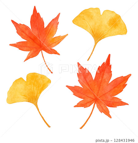 紅葉とイチョウの秋の葉の水彩イラスト 128431946