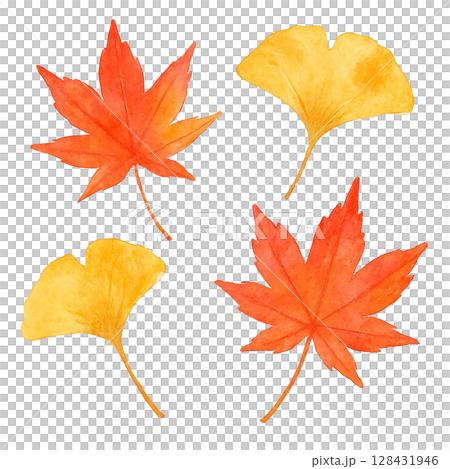 楓樹與銀杏的秋葉水彩插圖 128431946