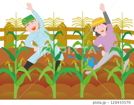 高齢者夫婦の楽しいトウモロコシの家庭菜園 高齢者夫婦の楽しいトウモロコシの家庭菜園 128433570