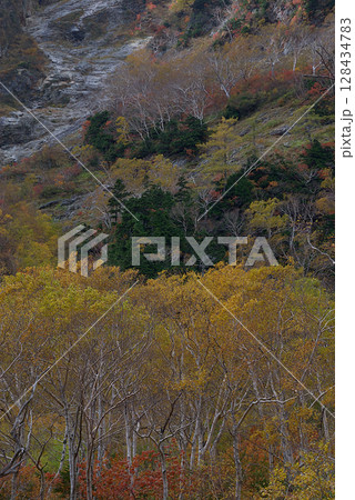 Yarisawa in autumn 槍ヶ岳登山道 東鎌尾根界隈から眺める槍沢カールの紅葉見頃の様子 Yarisawa in autumn 槍ヶ岳登山道 東鎌尾根界隈から眺める槍沢カールの紅葉見頃の様子 128434783