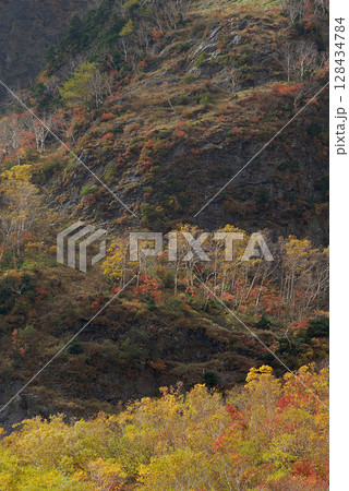 Yarisawa in autumn 槍ヶ岳登山道 東鎌尾根界隈から眺める槍沢カールの紅葉見頃の様子 128434784