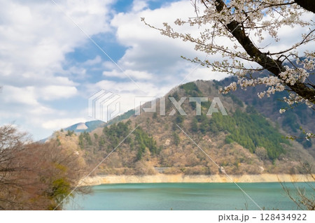東京・奥多摩湖の桜 128434922
