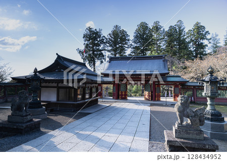 春の志波彦神社塩釜神社 128434952