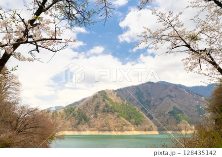 東京・奥多摩湖の桜 128435142