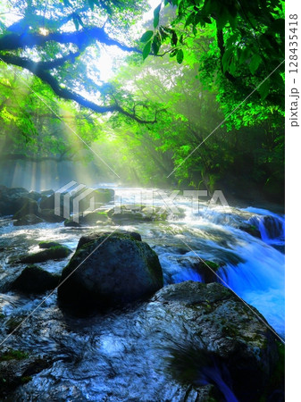 美しい光芒の出る菊池渓谷（縦構図・菊池市） 128435418