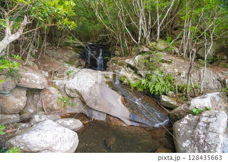 三重県尾鷲市 オハイ(大配)の風景 三重県尾鷲市 オハイ(大配)の風景 128435663