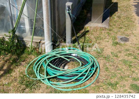 巻かれた緑色のホースと水道の蛇口 128435742