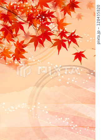 紅葉　もみじ　秋　背景	 128435820