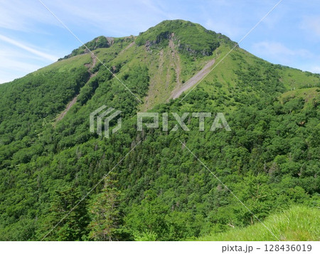 五色山付近から日光白根山 128436019