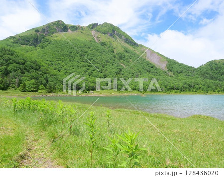 五色沼の湖面から日光白根山 128436020