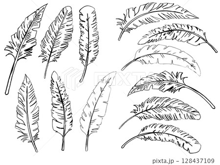手描きの鳥の羽セット1 128437109