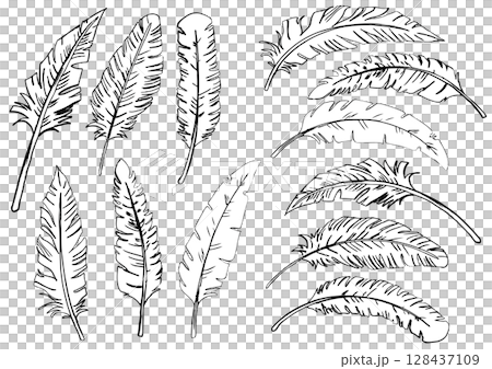 手描きの鳥の羽セット1 128437109