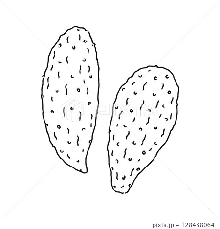 カクタスリーフ 線画 カクタスリーフ 線画 128438064