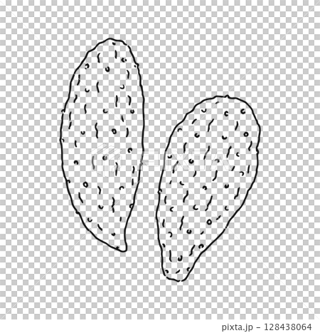 カクタスリーフ 線画 カクタスリーフ 線画 128438064
