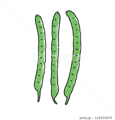 さやいんげん/ささげ さやいんげん/ささげ 128438070