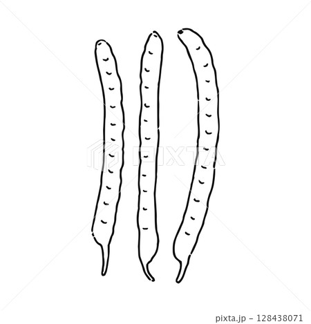 さやいんげん／ささげ　線画 128438071