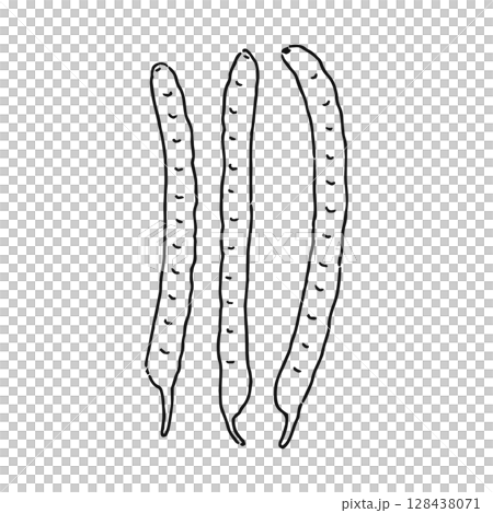 さやいんげん／ささげ　線画 128438071