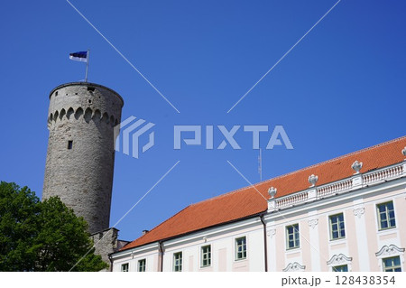 トームペア城のっぽのヘルマン トームペア城のっぽのヘルマン 128438354