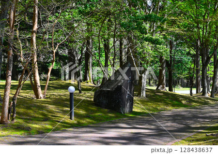 山中湖 文学の森公園の景色 山中湖 文学の森公園の景色 128438637