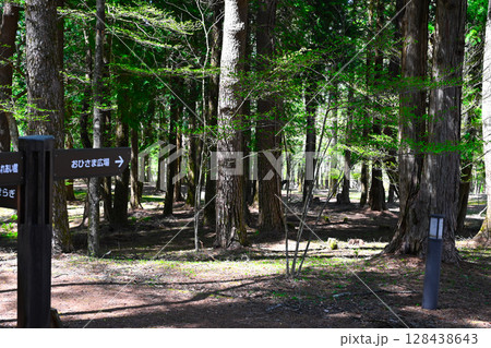 山中湖　文学の森公園の景色 128438643