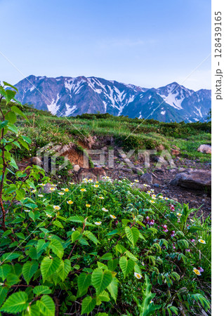 朝の八方山と八方池風景 128439165