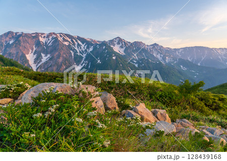 朝の八方山と八方池風景 128439168