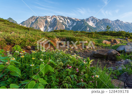 朝の八方山と八方池風景 128439178